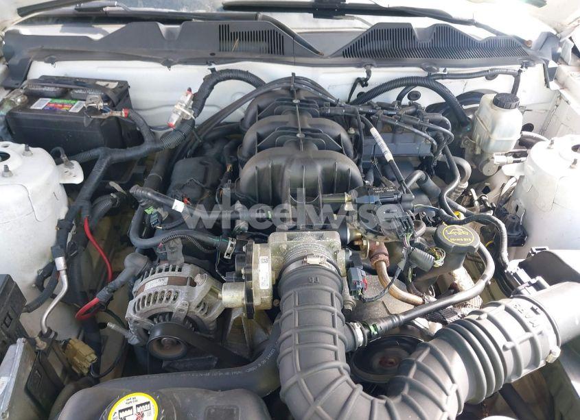 Photo 14 of 2010 Ford Mustang V6/V6 PREMIUM (VIN 1ZVBP8AN2A5128500)