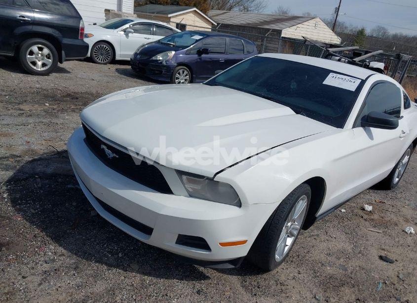 Photo 2 of 2010 Ford Mustang V6/V6 PREMIUM (VIN 1ZVBP8AN2A5128500)