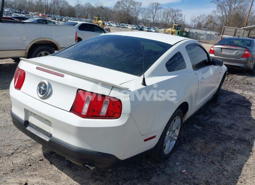 Photo 4 of 2010 Ford Mustang V6/V6 PREMIUM (VIN 1ZVBP8AN2A5128500)