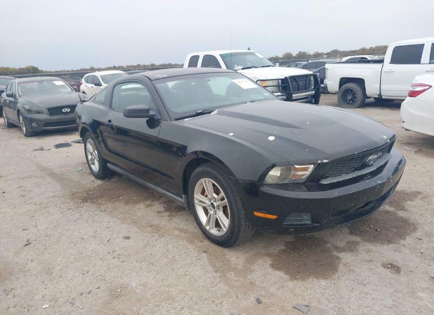 2010 Ford Mustang V6/V6 PREMIUM (VIN 1ZVBP8AN2A5135950) main photo
