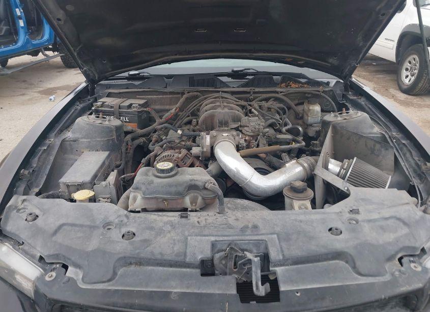 Photo 10 of 2010 Ford Mustang V6/V6 PREMIUM (VIN 1ZVBP8AN2A5135950)