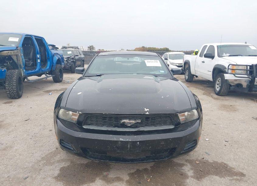 Photo 13 of 2010 Ford Mustang V6/V6 PREMIUM (VIN 1ZVBP8AN2A5135950)