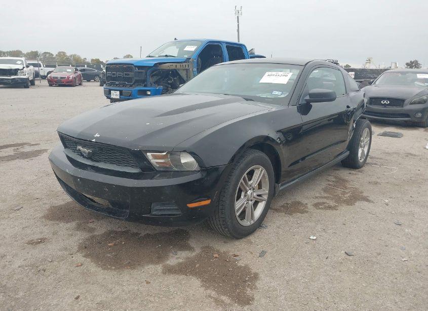 Photo 2 of 2010 Ford Mustang V6/V6 PREMIUM (VIN 1ZVBP8AN2A5135950)