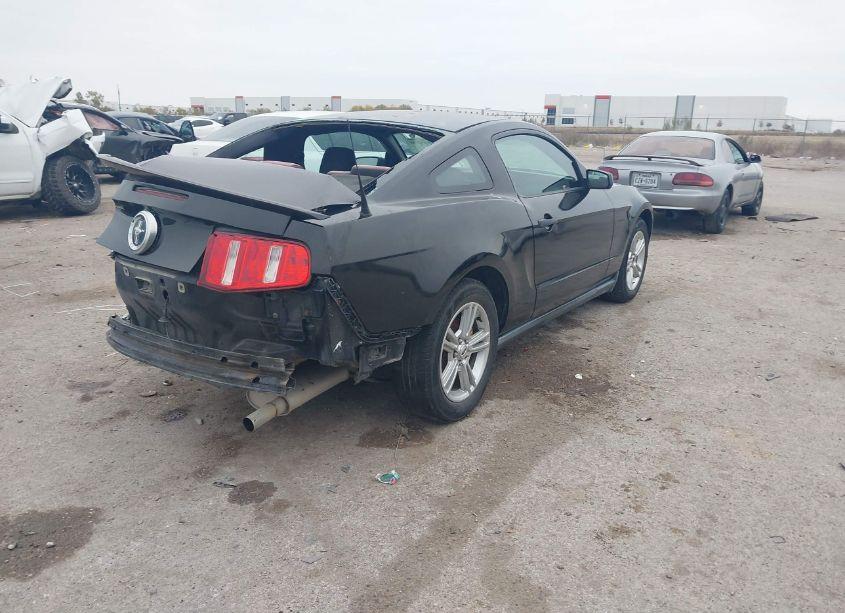 Photo 4 of 2010 Ford Mustang V6/V6 PREMIUM (VIN 1ZVBP8AN2A5135950)