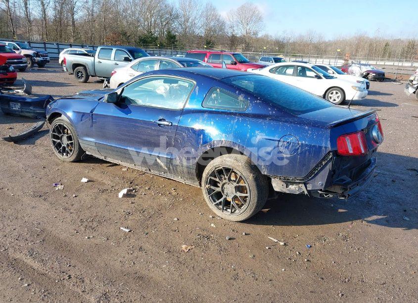 Photo 3 of 2010 Ford Mustang V6 (VIN 1ZVBP8AN2A5151968)