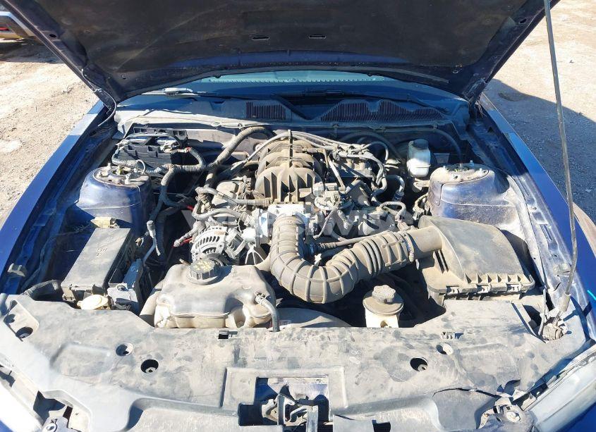 Photo 10 of 2010 Ford Mustang V6/V6 PREMIUM (VIN 1ZVBP8AN2A5159133)