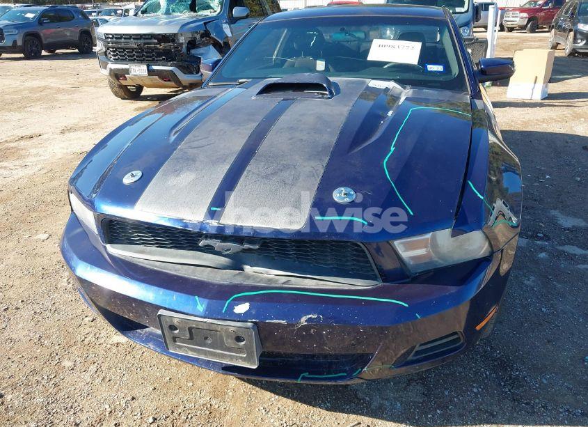 Photo 6 of 2010 Ford Mustang V6/V6 PREMIUM (VIN 1ZVBP8AN2A5159133)