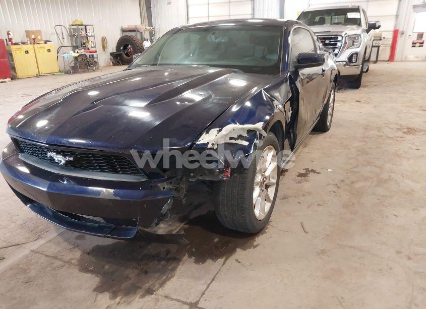 Photo 6 of 2010 Ford Mustang V6/V6 PREMIUM (VIN 1ZVBP8AN2A5160671)