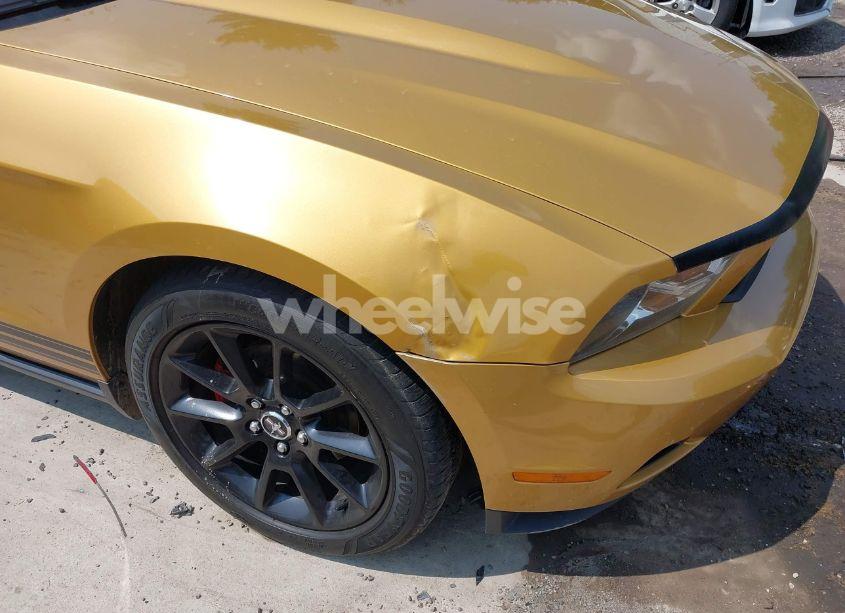 Photo 19 of 2010 Ford Mustang V6/V6 PREMIUM (VIN 1ZVBP8AN3A5123709)