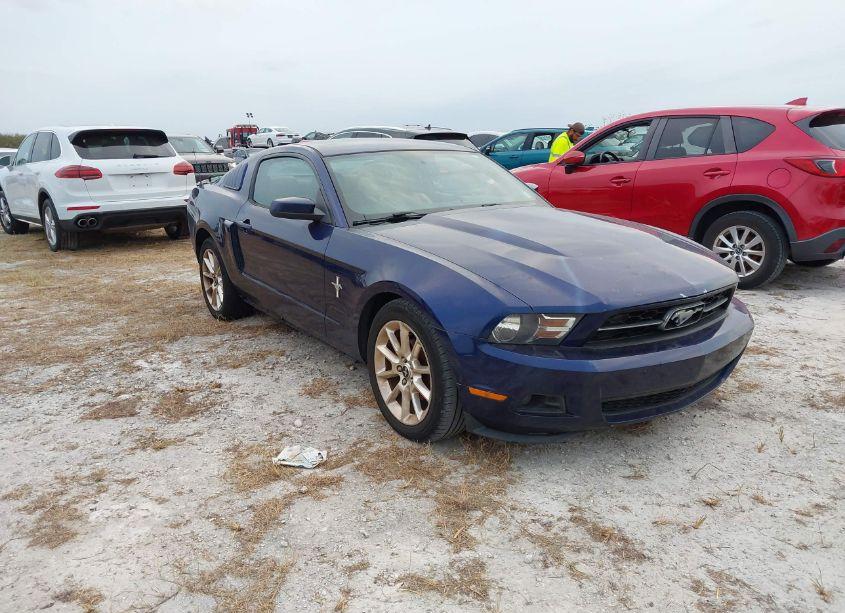 2010 Ford Mustang V6/V6 PREMIUM (VIN 1ZVBP8AN3A5149517) main photo