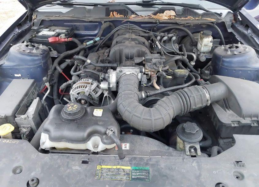 Photo 10 of 2010 Ford Mustang V6/V6 PREMIUM (VIN 1ZVBP8AN3A5149517)