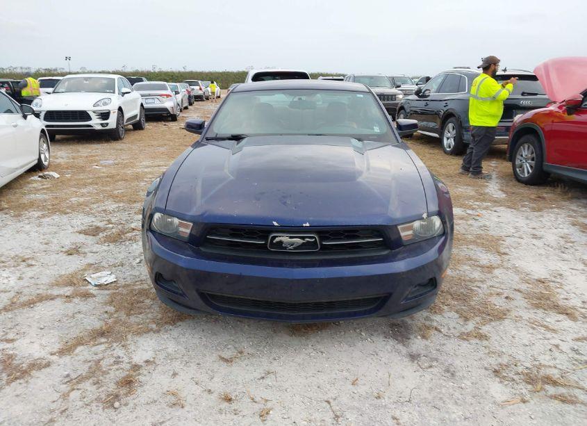 Photo 12 of 2010 Ford Mustang V6/V6 PREMIUM (VIN 1ZVBP8AN3A5149517)