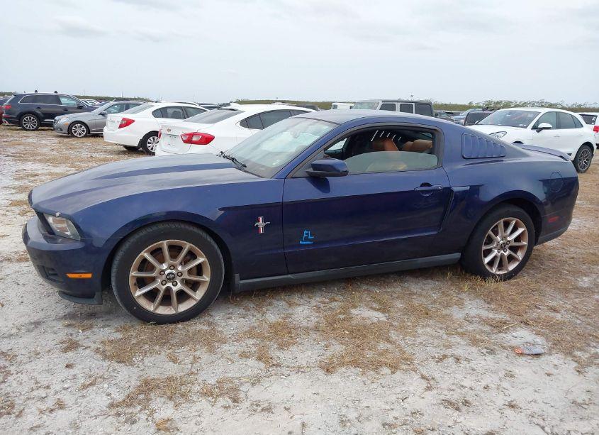 Photo 14 of 2010 Ford Mustang V6/V6 PREMIUM (VIN 1ZVBP8AN3A5149517)