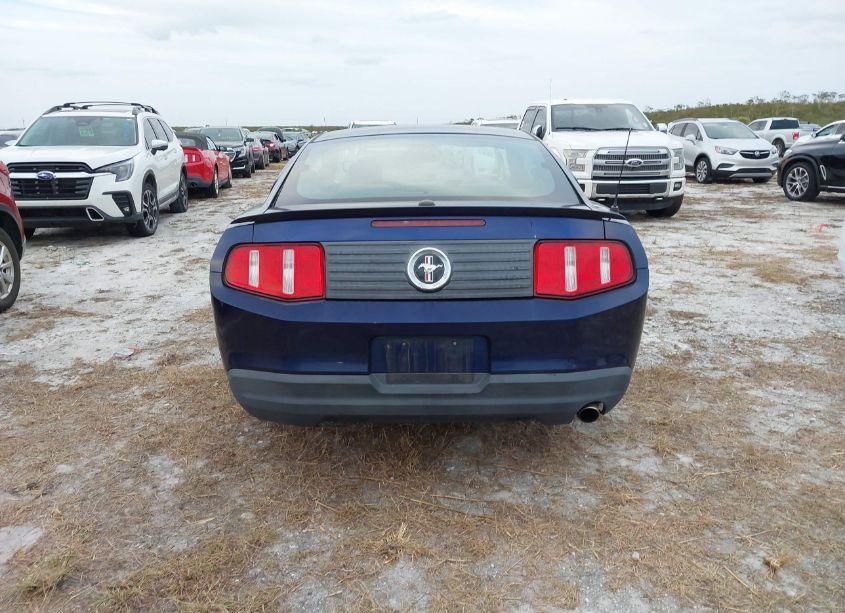 Photo 16 of 2010 Ford Mustang V6/V6 PREMIUM (VIN 1ZVBP8AN3A5149517)