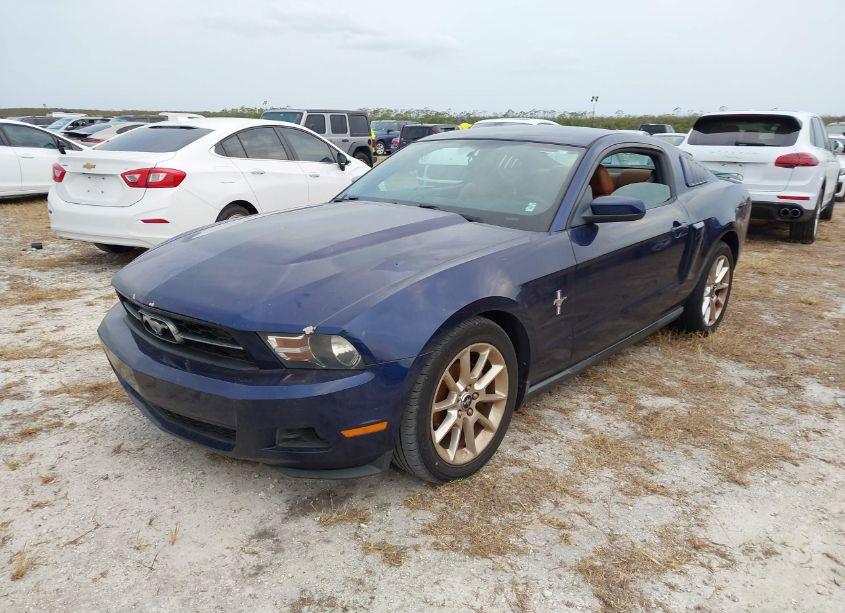 Photo 2 of 2010 Ford Mustang V6/V6 PREMIUM (VIN 1ZVBP8AN3A5149517)