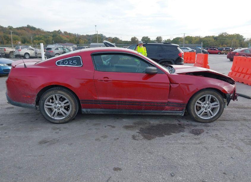 Photo 14 of 2010 Ford Mustang (VIN 1ZVBP8AN4A5101993)