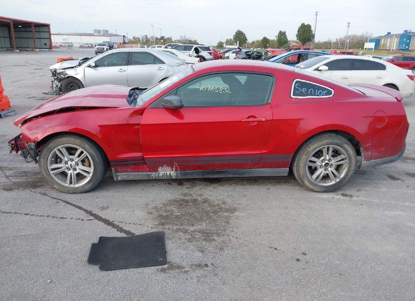Photo 15 of 2010 Ford Mustang (VIN 1ZVBP8AN4A5101993)