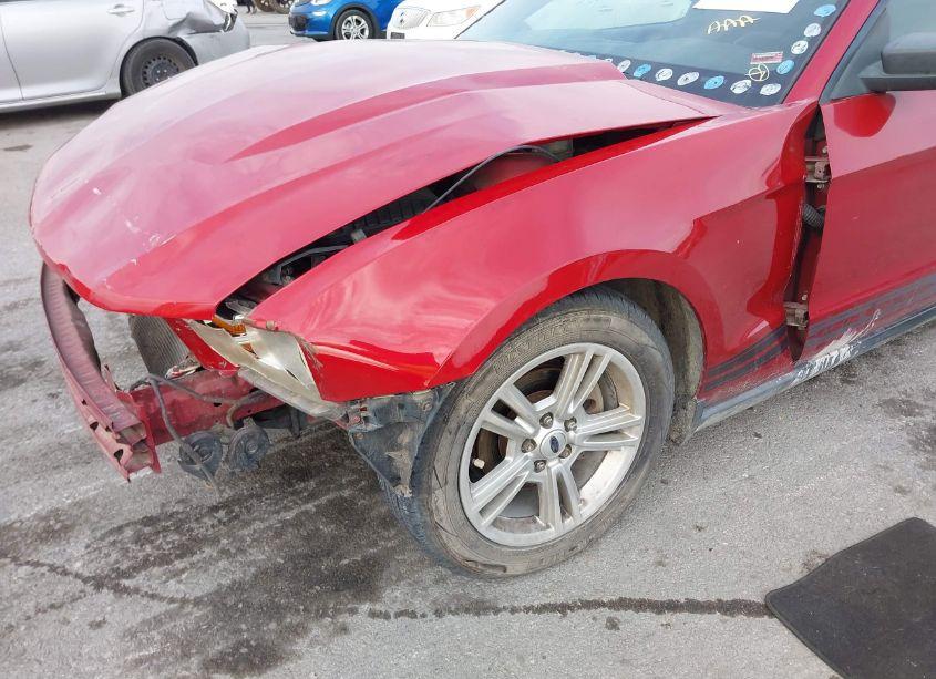 Photo 6 of 2010 Ford Mustang (VIN 1ZVBP8AN4A5101993)