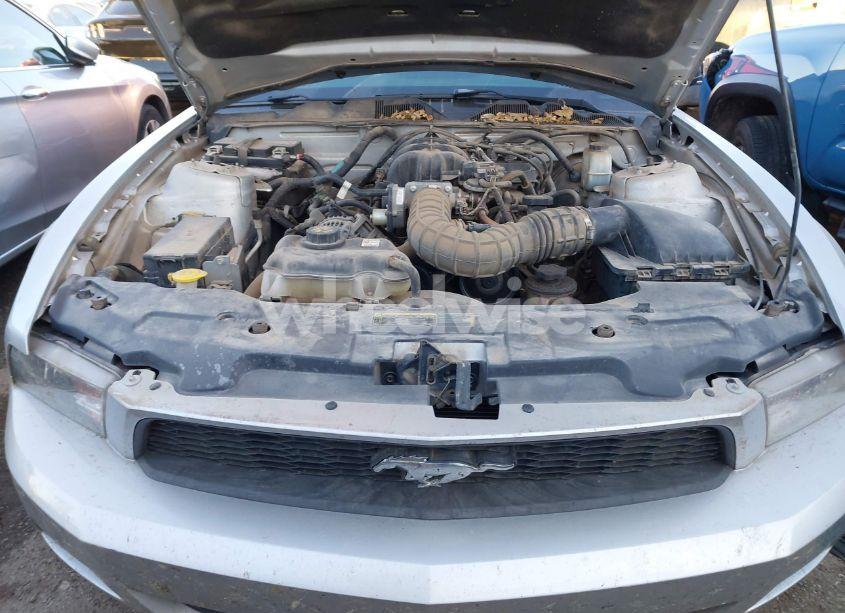 Photo 10 of 2010 Ford Mustang V6/V6 PREMIUM (VIN 1ZVBP8AN4A5148327)