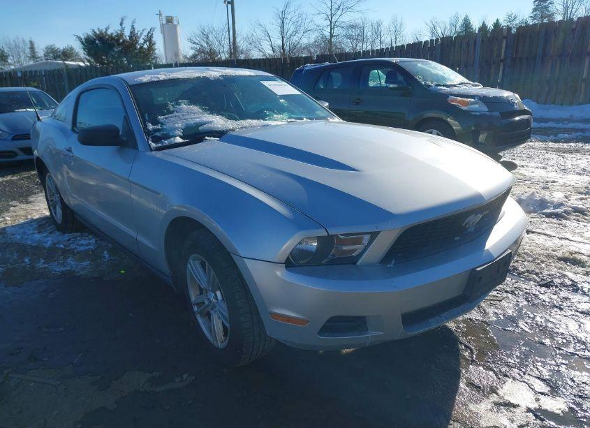 2010 Ford Mustang V6/V6 PREMIUM (VIN 1ZVBP8AN4A5179867) main photo