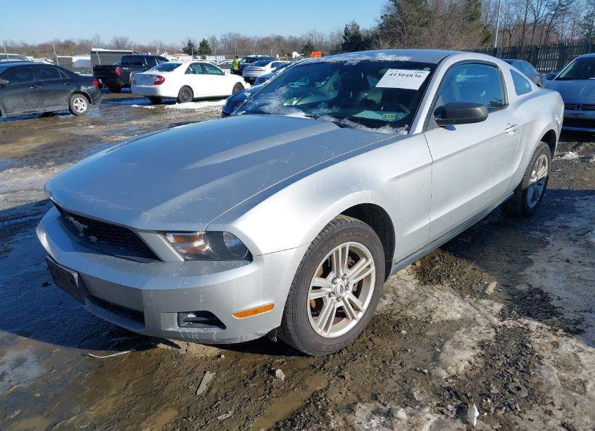 Photo 2 of 2010 Ford Mustang V6/V6 PREMIUM (VIN 1ZVBP8AN4A5179867)