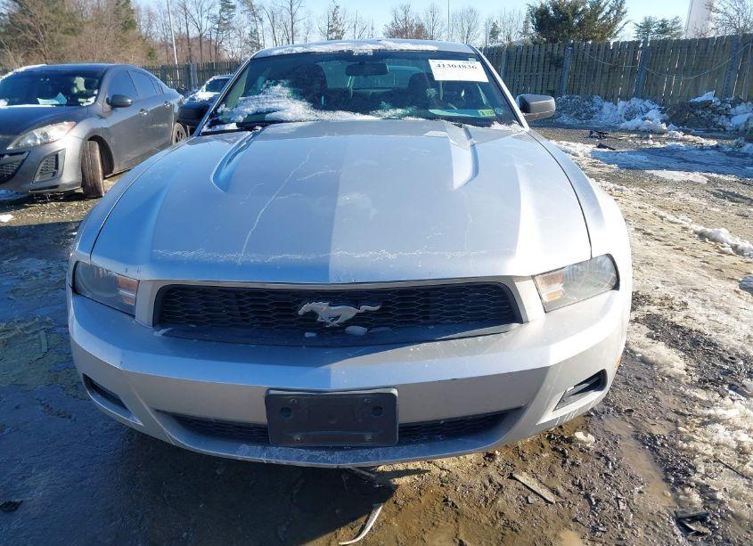 Photo 6 of 2010 Ford Mustang V6/V6 PREMIUM (VIN 1ZVBP8AN4A5179867)