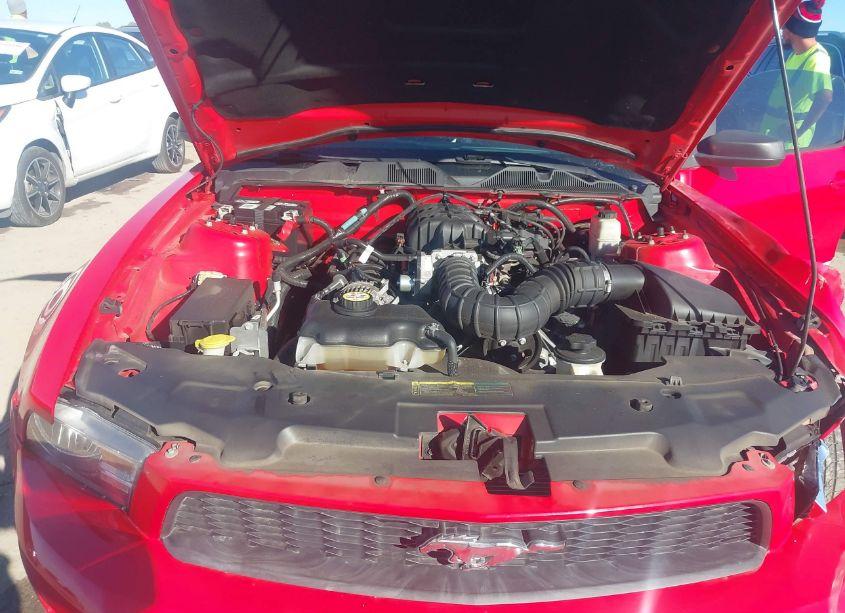 Photo 10 of 2010 Ford Mustang V6/V6 PREMIUM (VIN 1ZVBP8AN5A5125901)