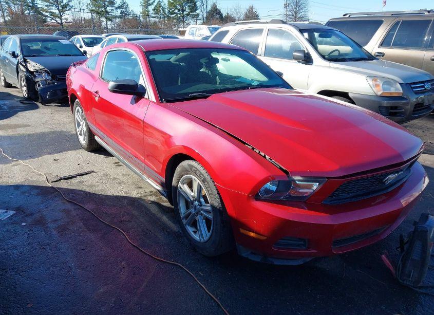 2010 Ford Mustang V6 (VIN 1ZVBP8AN5A5159031) main photo