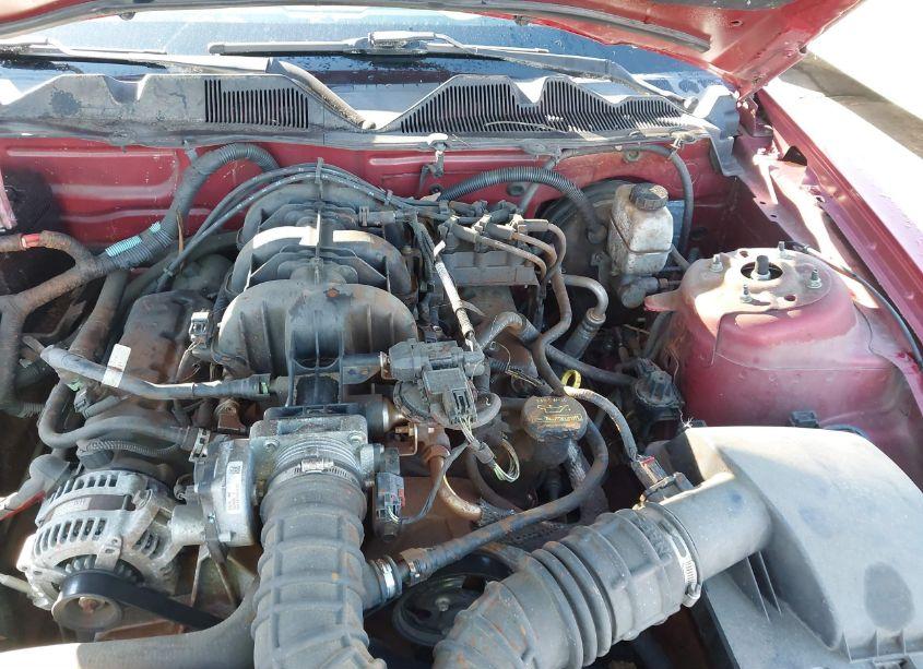 Photo 10 of 2010 Ford Mustang V6 (VIN 1ZVBP8AN5A5159031)