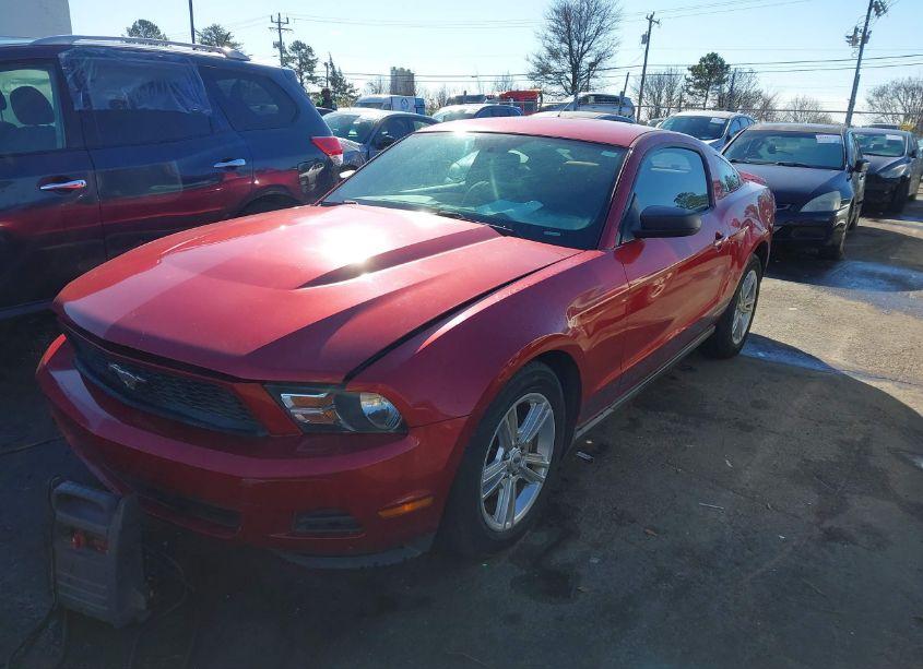 Photo 2 of 2010 Ford Mustang V6 (VIN 1ZVBP8AN5A5159031)