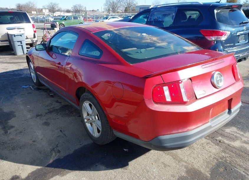 Photo 3 of 2010 Ford Mustang V6 (VIN 1ZVBP8AN5A5159031)