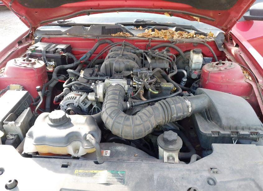 Photo 10 of 2010 Ford Mustang V6/V6 PREMIUM (VIN 1ZVBP8AN5A5165587)