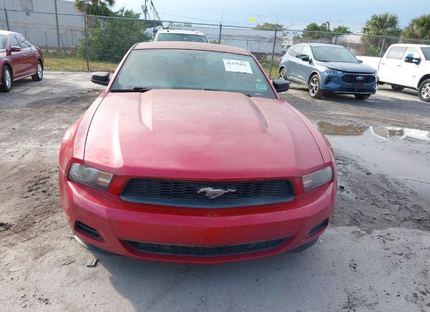 Photo 6 of 2010 Ford Mustang V6/V6 PREMIUM (VIN 1ZVBP8AN5A5165587)