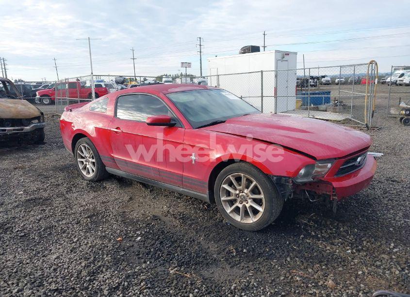 2010 Ford Mustang V6/V6 PREMIUM (VIN 1ZVBP8AN5A5176105) main photo
