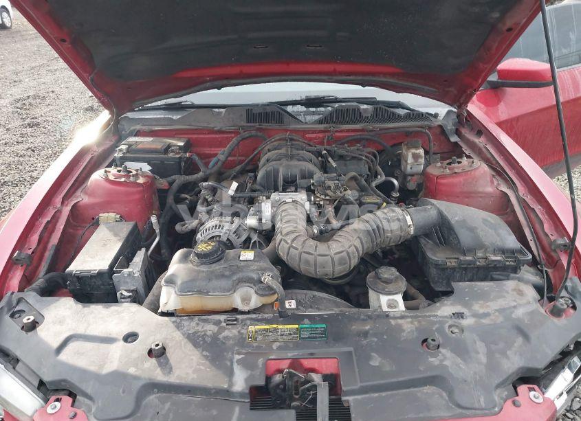Photo 10 of 2010 Ford Mustang V6/V6 PREMIUM (VIN 1ZVBP8AN5A5176105)