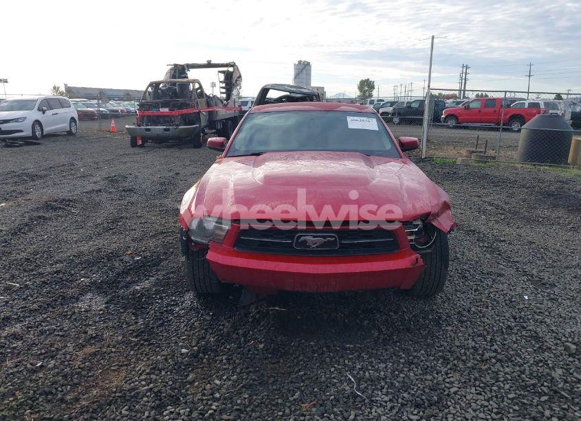 Photo 12 of 2010 Ford Mustang V6/V6 PREMIUM (VIN 1ZVBP8AN5A5176105)