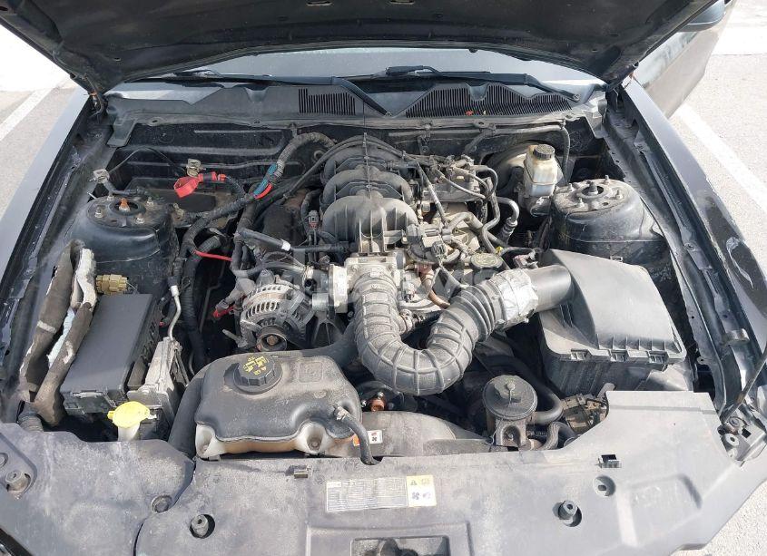 Photo 10 of 2010 Ford Mustang V6/V6 PREMIUM (VIN 1ZVBP8AN5A5181949)