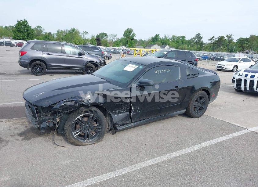 Photo 2 of 2010 Ford Mustang V6/V6 PREMIUM (VIN 1ZVBP8AN5A5181949)