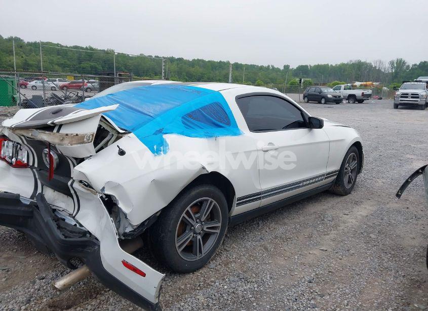 Photo 4 of 2010 Ford Mustang V6/V6 PREMIUM (VIN 1ZVBP8AN6A5106614)