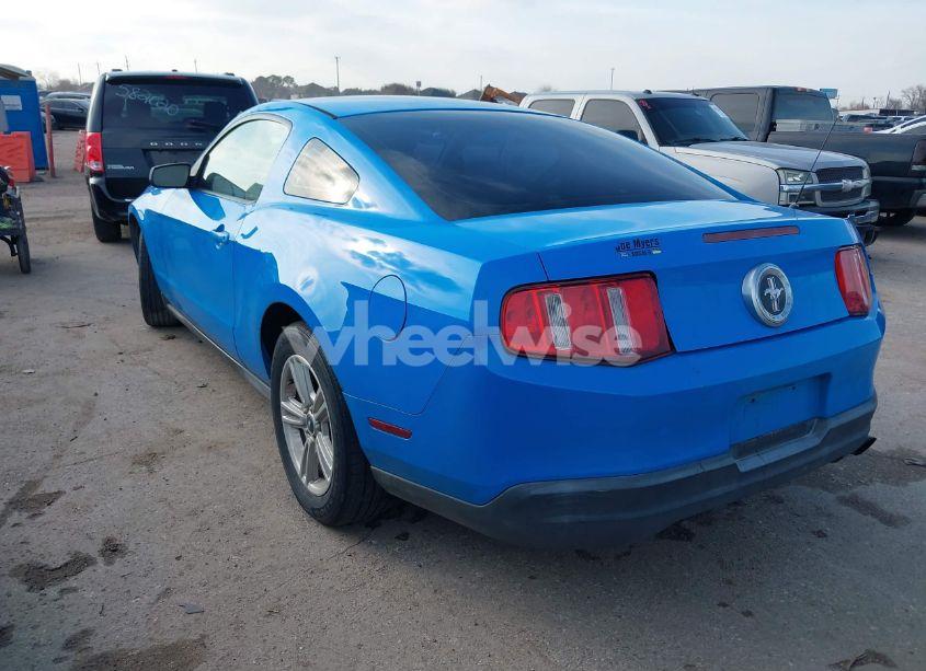 Photo 3 of 2010 Ford Mustang V6/V6 PREMIUM (VIN 1ZVBP8AN6A5128709)