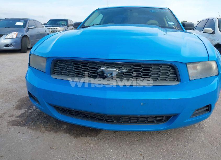 Photo 6 of 2010 Ford Mustang V6/V6 PREMIUM (VIN 1ZVBP8AN6A5128709)
