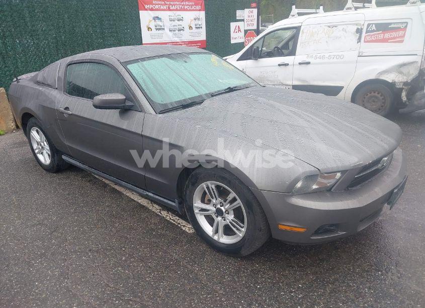 2010 Ford Mustang V6/V6 PREMIUM (VIN 1ZVBP8AN6A5138124) main photo