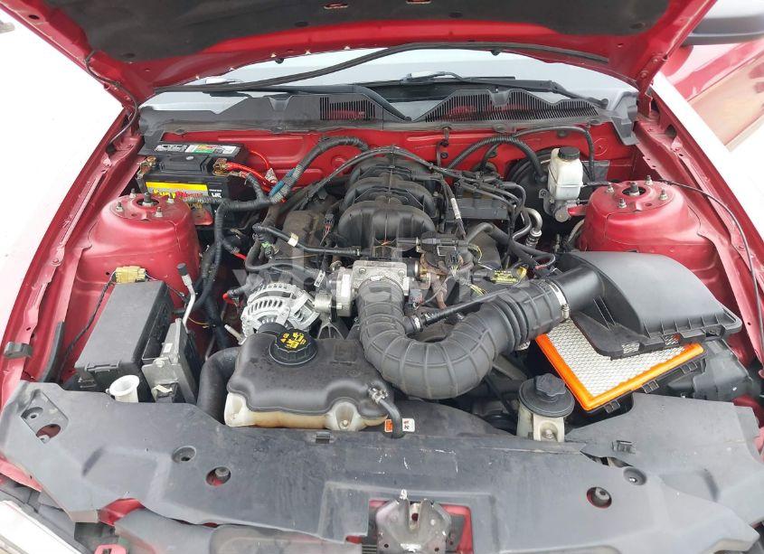 Photo 10 of 2010 Ford Mustang V6/V6 PREMIUM (VIN 1ZVBP8AN6A5176713)