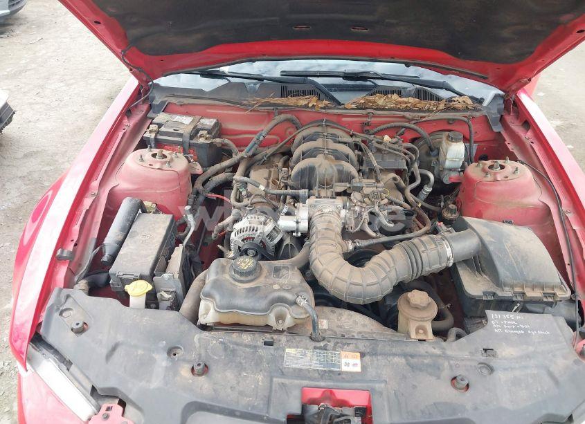 Photo 10 of 2010 Ford Mustang V6 (VIN 1ZVBP8AN6A5180616)