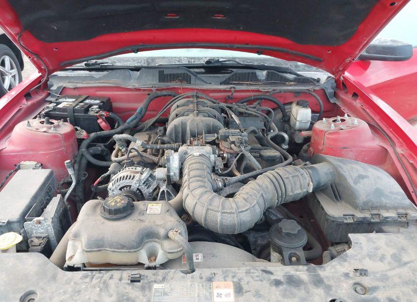 Photo 10 of 2010 Ford Mustang V6/V6 PREMIUM (VIN 1ZVBP8AN7A5175103)