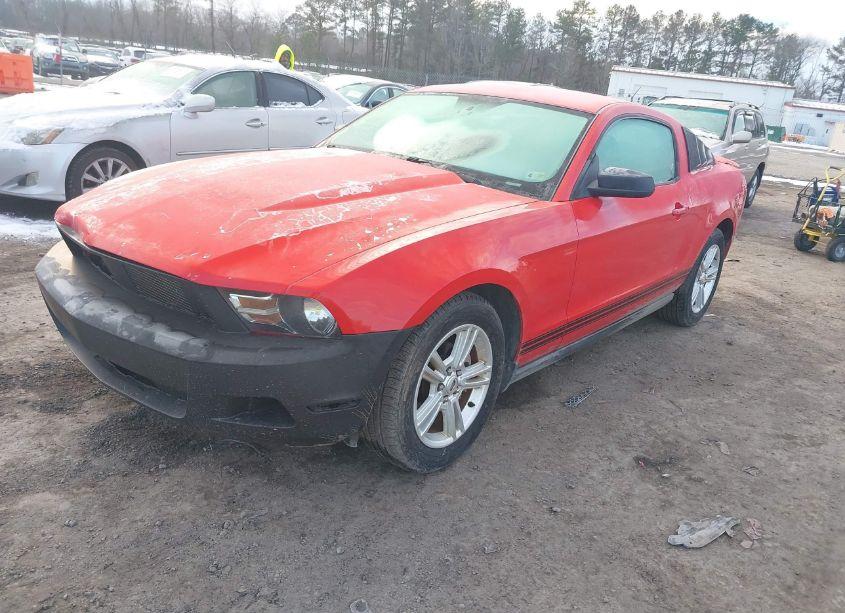Photo 2 of 2010 Ford Mustang V6/V6 PREMIUM (VIN 1ZVBP8AN7A5175103)