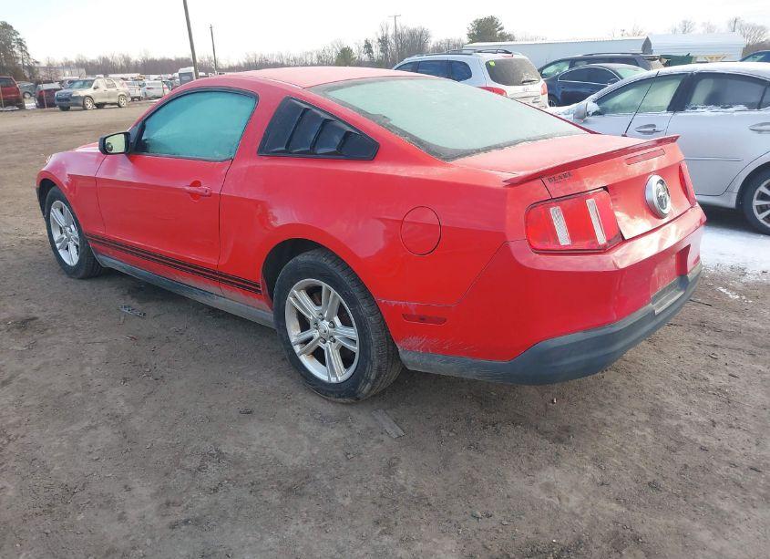 Photo 3 of 2010 Ford Mustang V6/V6 PREMIUM (VIN 1ZVBP8AN7A5175103)
