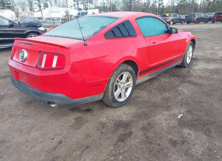 Photo 4 of 2010 Ford Mustang V6/V6 PREMIUM (VIN 1ZVBP8AN7A5175103)