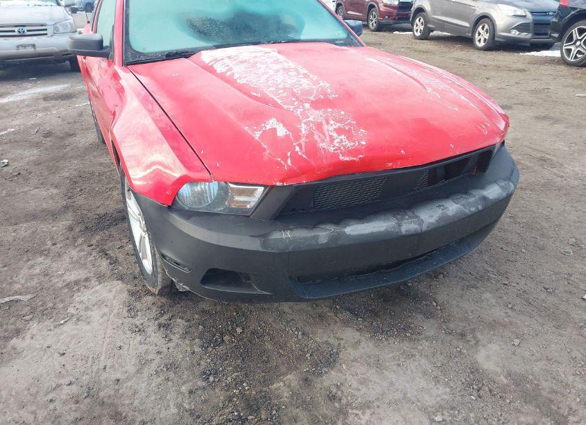 Photo 6 of 2010 Ford Mustang V6/V6 PREMIUM (VIN 1ZVBP8AN7A5175103)