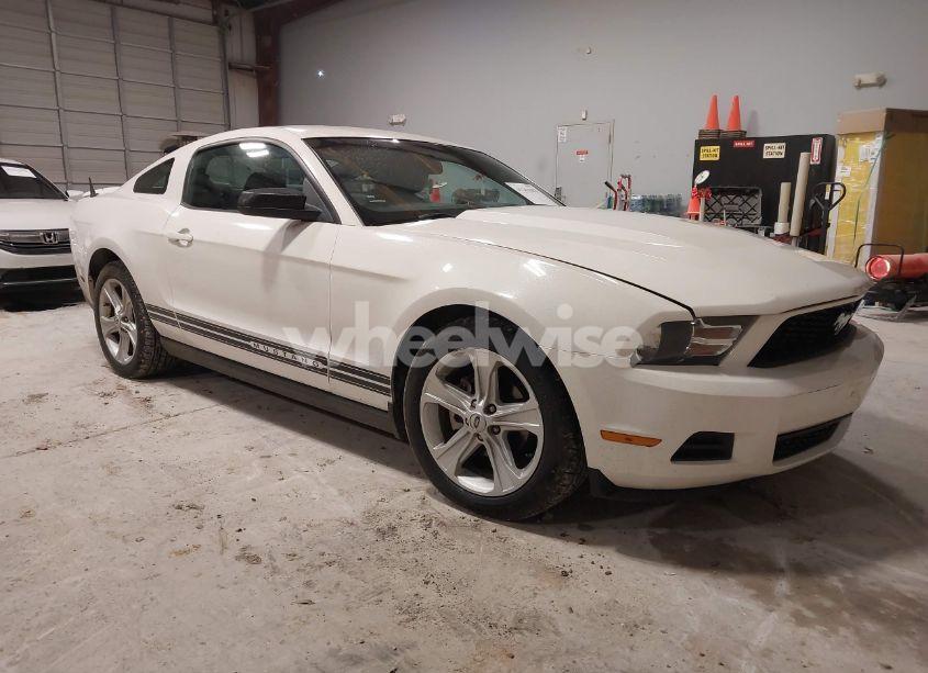 2010 Ford Mustang V6/V6 PREMIUM (VIN 1ZVBP8AN8A5118697) main photo